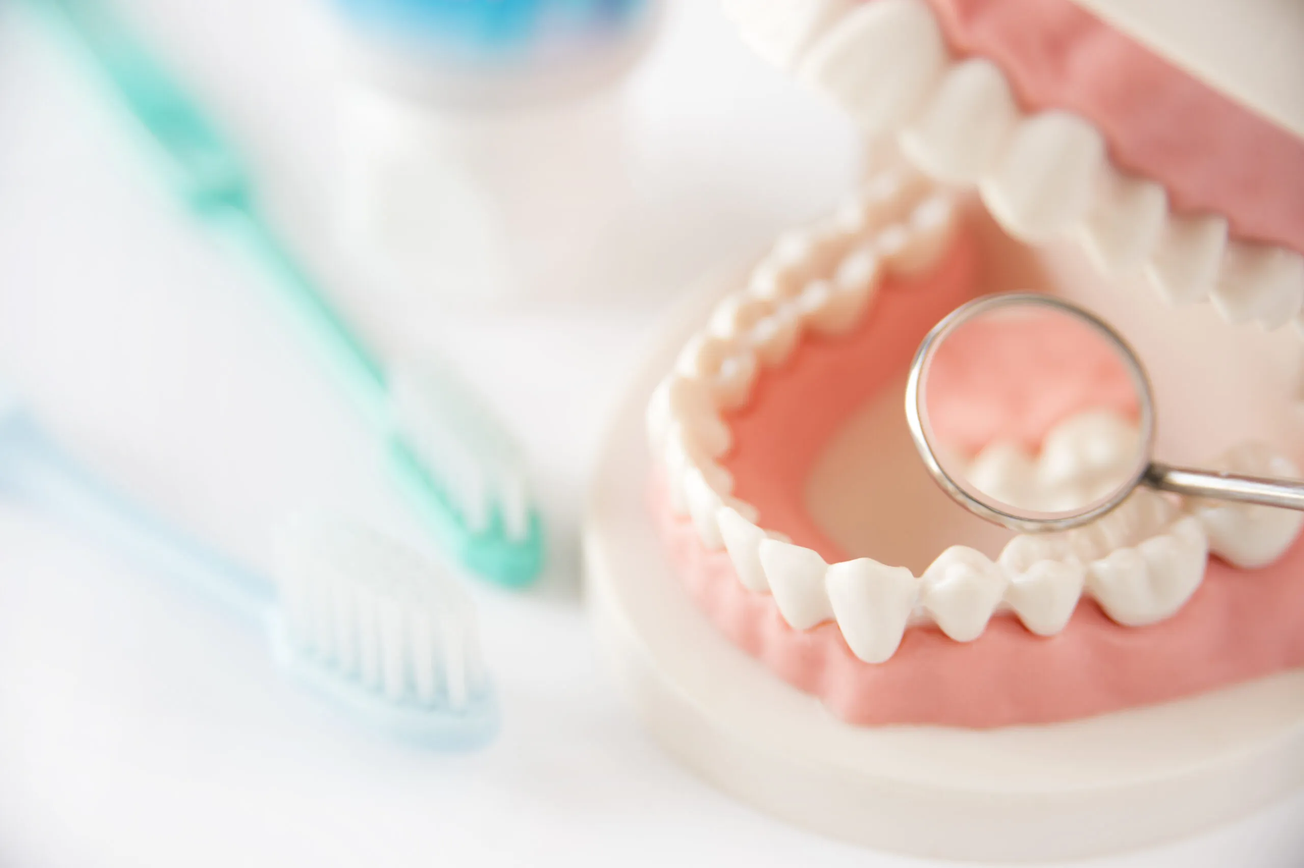 予防を中心とした歯科診療